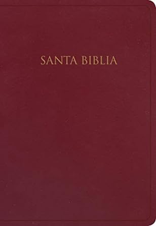 La biblia como motivacion 